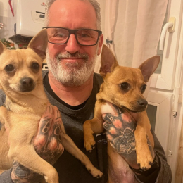 Tacos et seyo profile