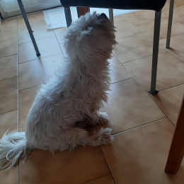 Casper profile