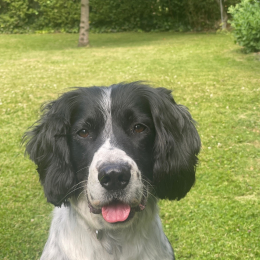 Lenny profile