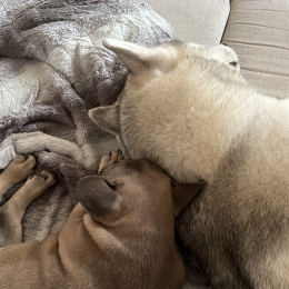 Olya et uath profile