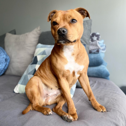 Oona profile