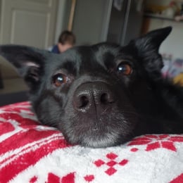 Akina profile