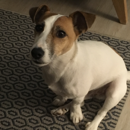 Oscar profile