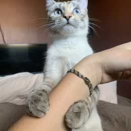 Yüna et tim profile