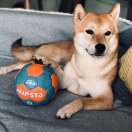 Osky profile