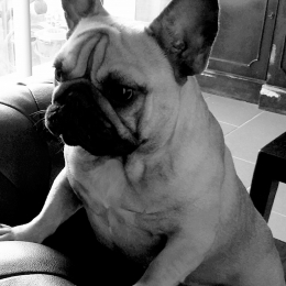 Faustine et olympe profile