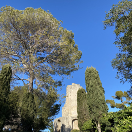 Céline profile