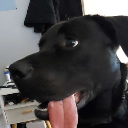 Spike profile