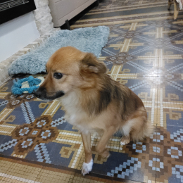 Loïc cuvelier profile