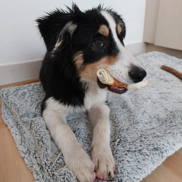 Usko profile