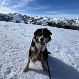 Ossau profile
