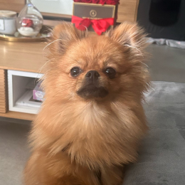 Ummy profile