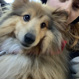 Happy profile