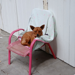 Baillard bordes profile