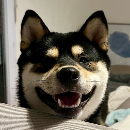 Usko profile