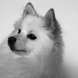 Oushka profile