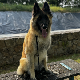 Akilaah profile