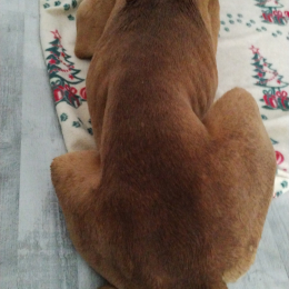 Thord profile