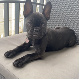 Tyna profile