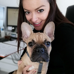 Amandine profile