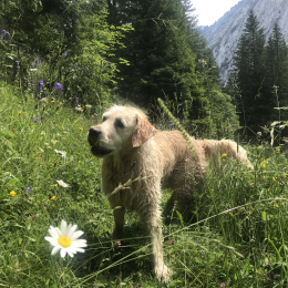 Florine profile