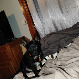 Olympe profile