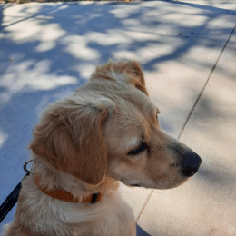 Maryfe profile