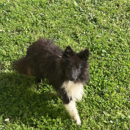Philo profile