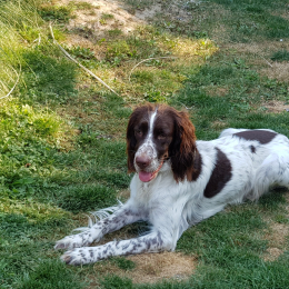 Lena profile