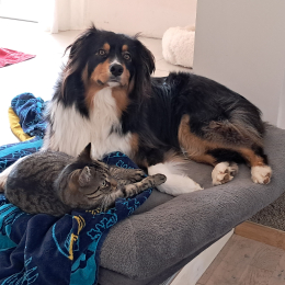 Uma et yoco profile