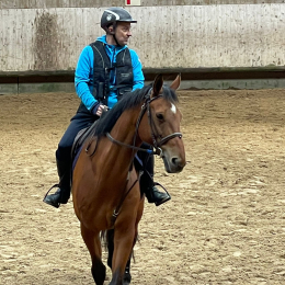 Laurent profile