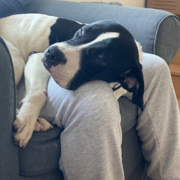 Tyson profile