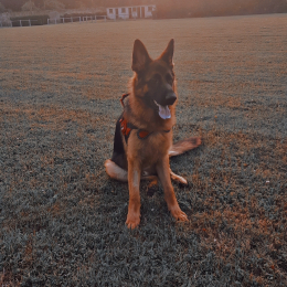 Volt profile