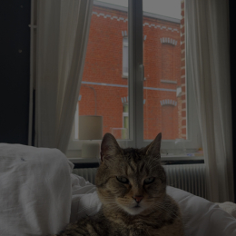 Bertille profile