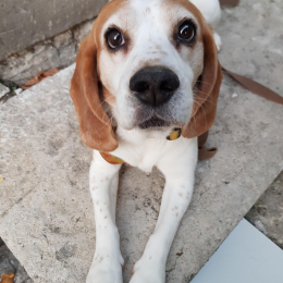 Winnie profile