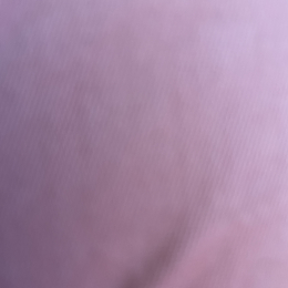 Maya profile
