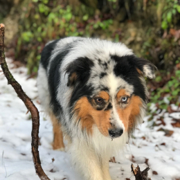 Marley  profile