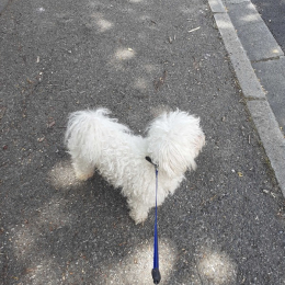 Hermes (loulou) profile