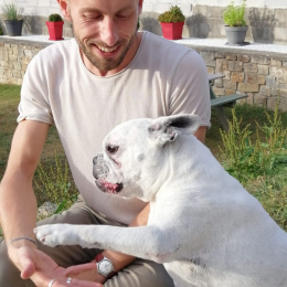Damien profile