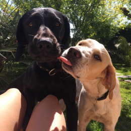 Balou et newcky profile