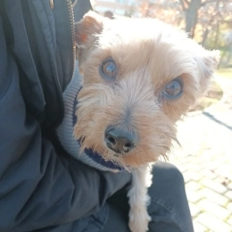 Pablo profile