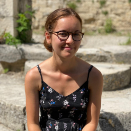 Lorene profile