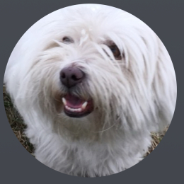 Lionel profile