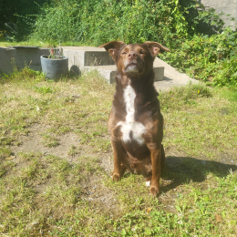 Maky profile
