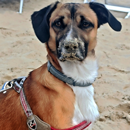 Theo profile