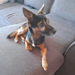 Liloh profile