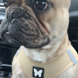 Twix profile