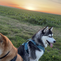 Rafa et arya profile