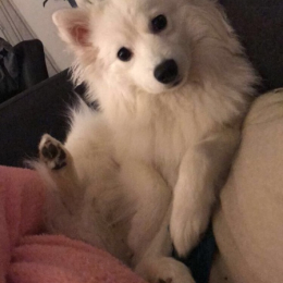 Nalia profile