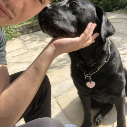 Pierre profile